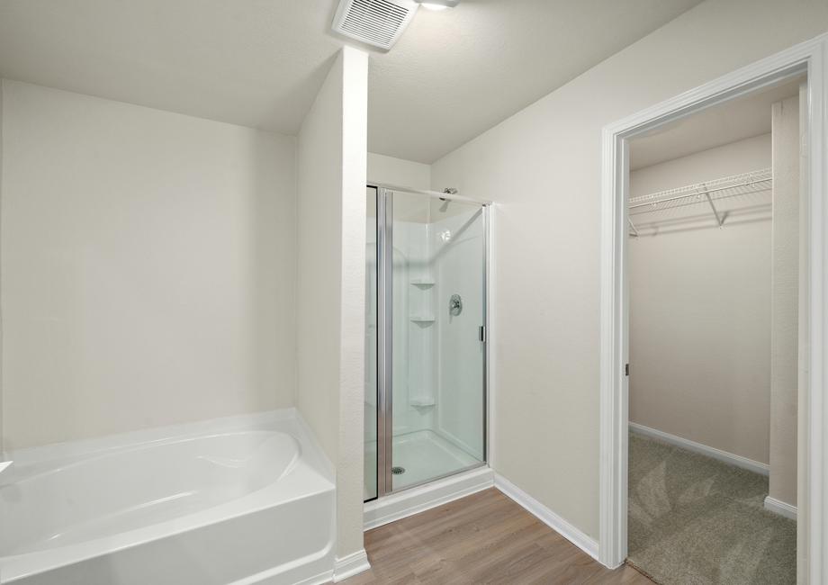 Step-in shower in the master bathroom and walk-in closet