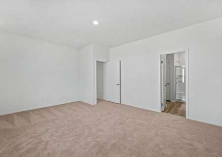 The master bedroom is spacious and has carpet.