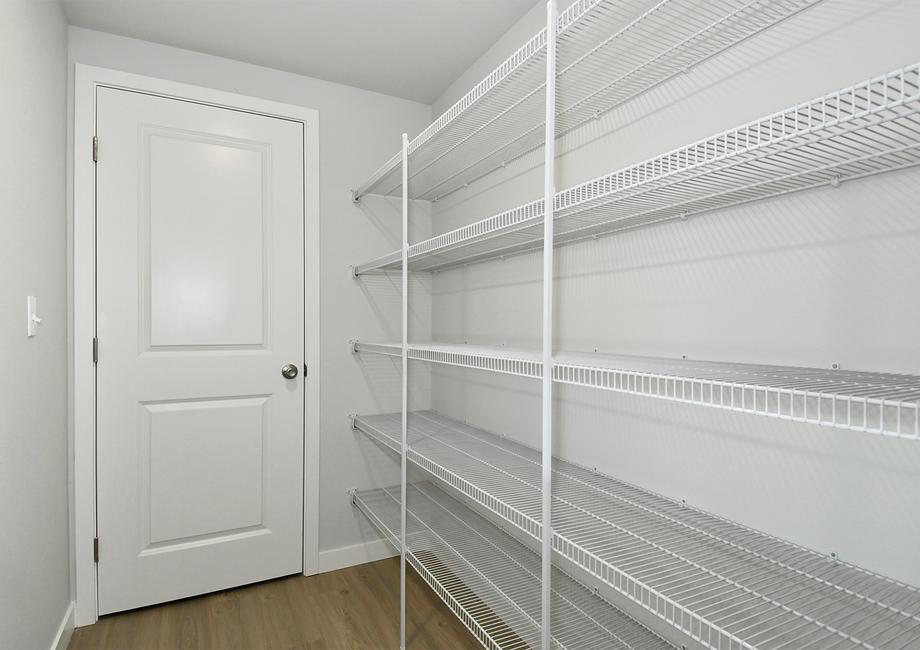 There is a large walk in pantry in this home.