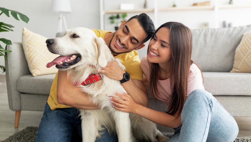Young couple smiling and petting their dog in the living room.
